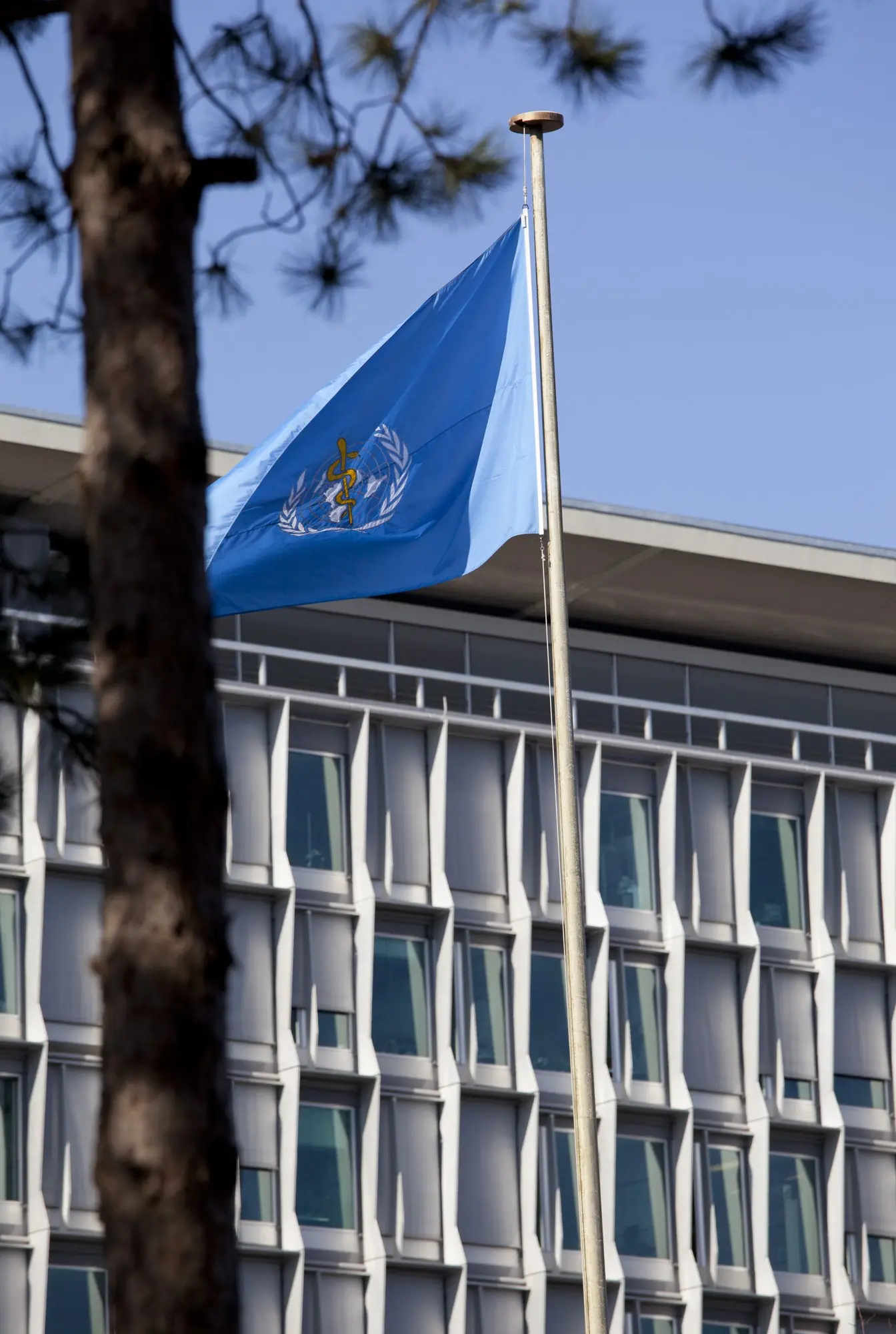 The World Health Organization headquarters building in Geneva with the WHO flag flying in front